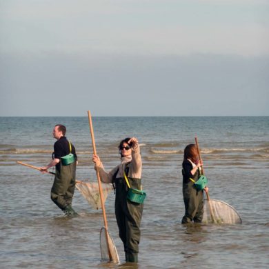 Activité Pêche à la crevette
