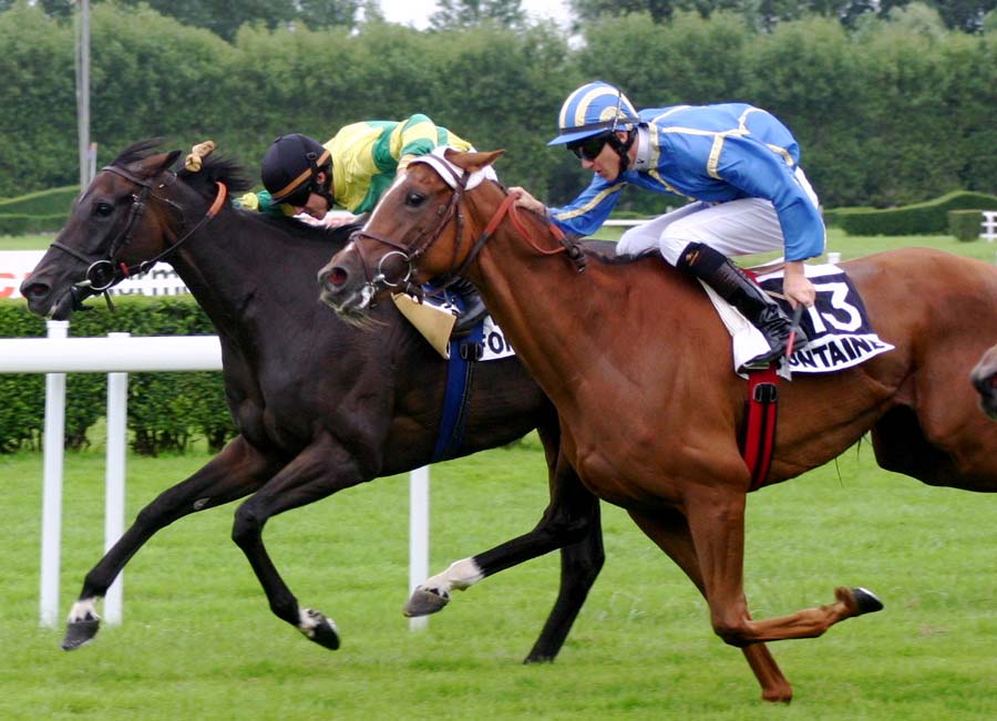 Découvrez le monde du cheval ici Les courses pour vos séminiares à Deauville