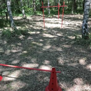 Organisation d'activités sport et aventure pour votre séminaire