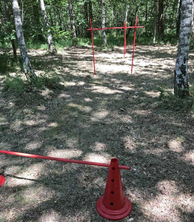 Organisation d'activités sport et aventure pour votre séminaire