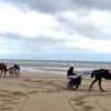 Baptême de sulky sur la plage de Deauville