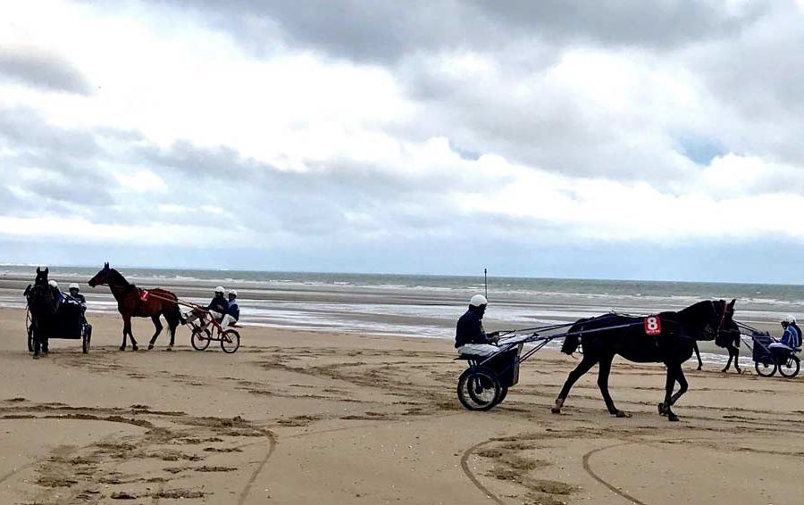Baptême de sulky sur la plage de Deauville