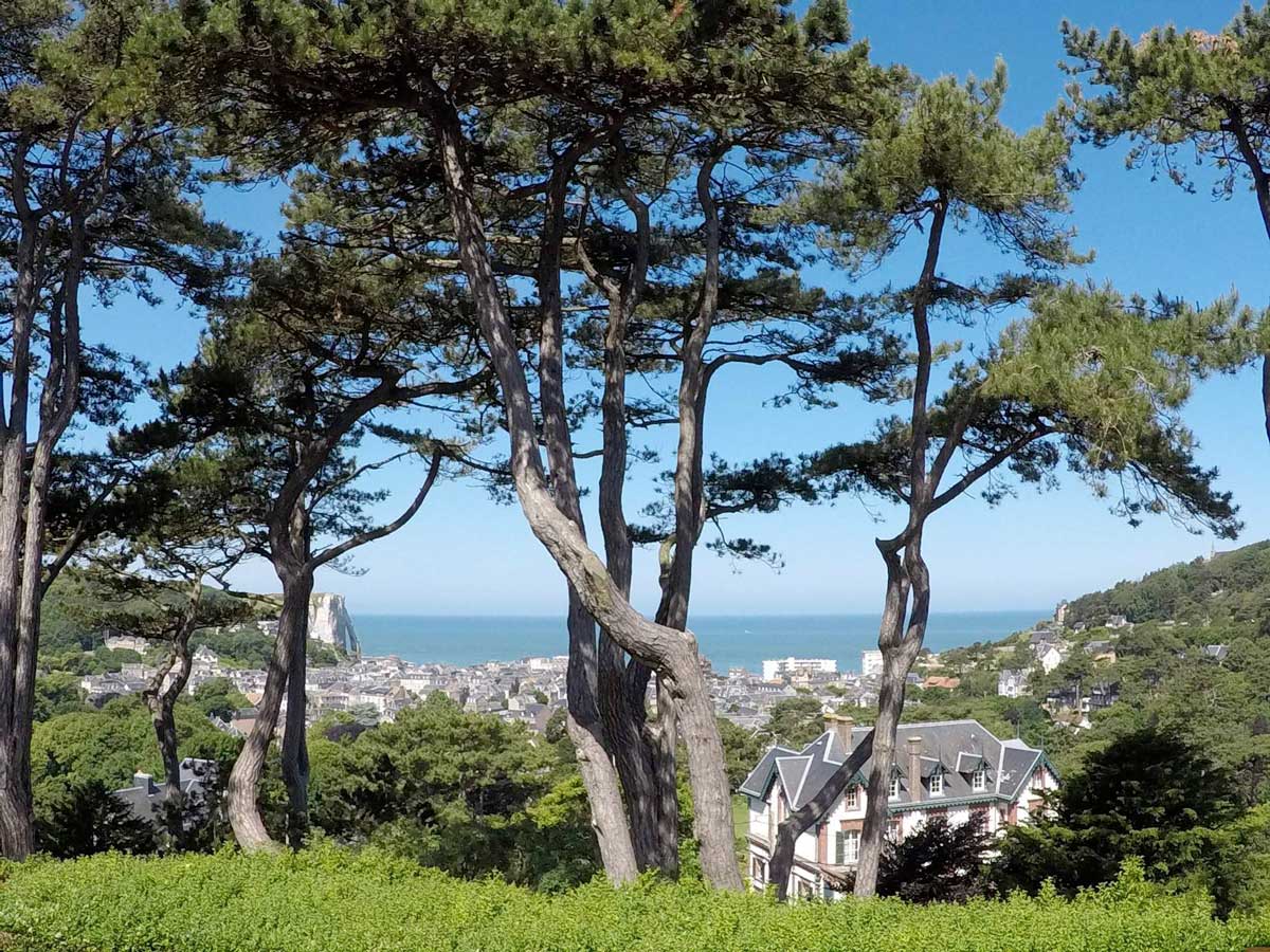Vue d'Étretat de l'hôtel Le Donjon - Domaine Saint Clair à Étretat