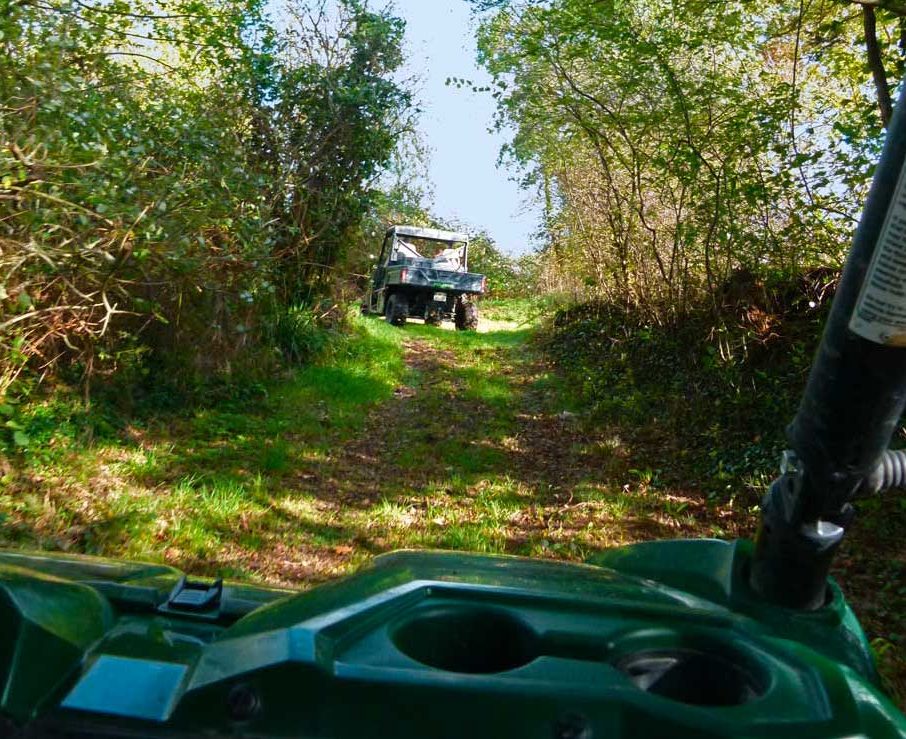 balade en buggy pour découvrir la campagne normande