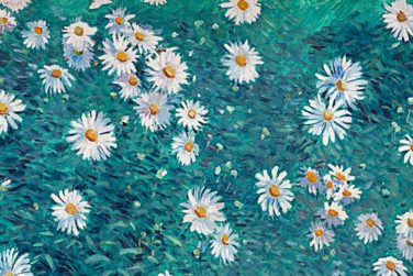 Giverny – Parterre de marguerites, Caillebottes