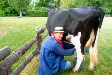 Le Défi normand, un team building à découvrir