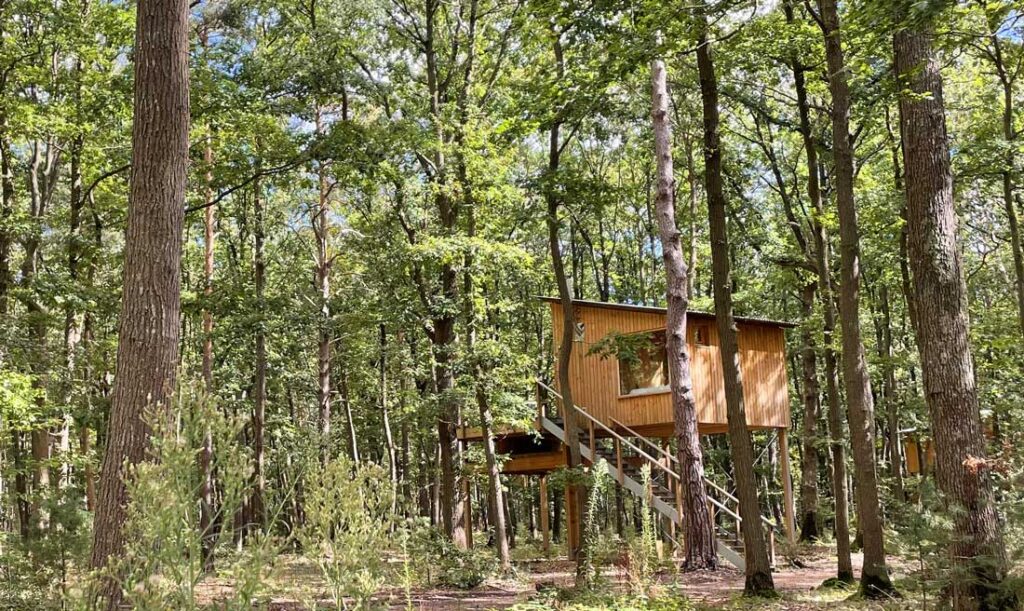 Écolodge, cabane pour votre séminaire en immersion nature