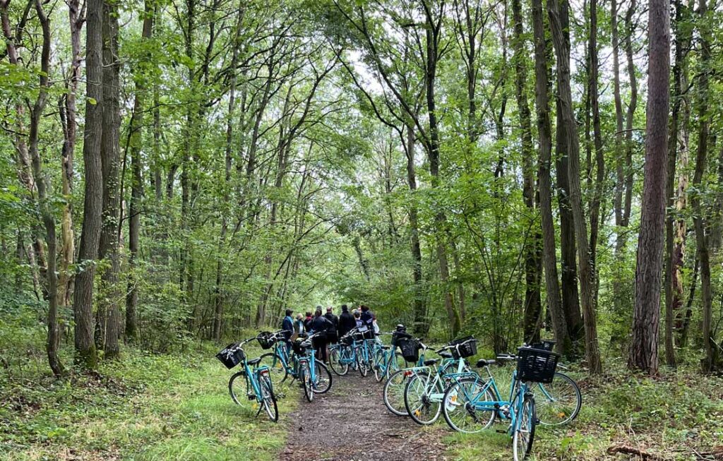 Balade à vélo en pleine nature