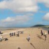 Team building olympiades sur la plage Normandie