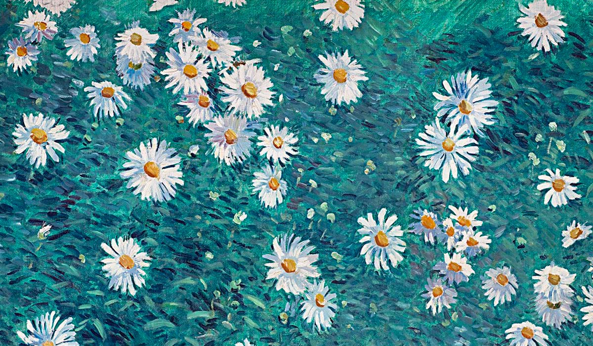 Giverny parterre de marguerites caillebottes