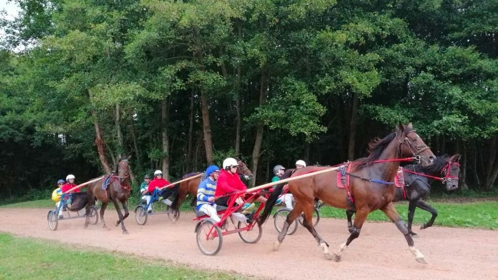 Bapteme de sulky a deauville pour un codir