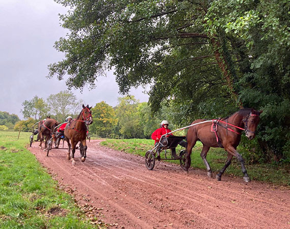 Activite promenade cheval normandie